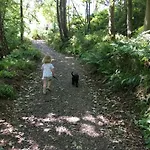 Broomhills Farm River Eco Pods *