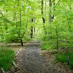 Broomhills Farm River Eco Pods * Carlisle (Cumbria)