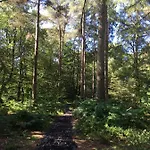 Broomhills Farm River Eco Pods Bauernhof