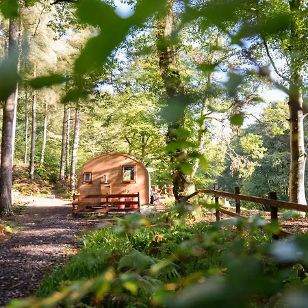 Alloggio per agriturismo Broomhills Farm River Eco Pods *