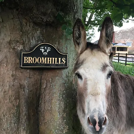 Farmház Broomhills Farm River Eco Pods Carlisle