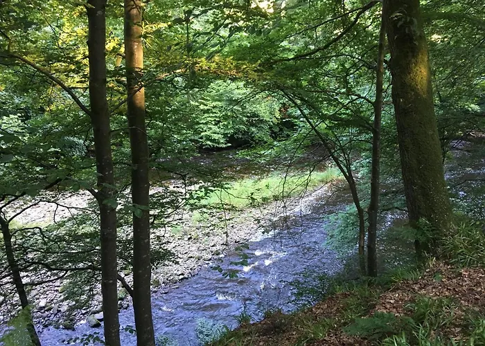 Broomhills Farm River Eco Pods * Carlisle (Cumbria)