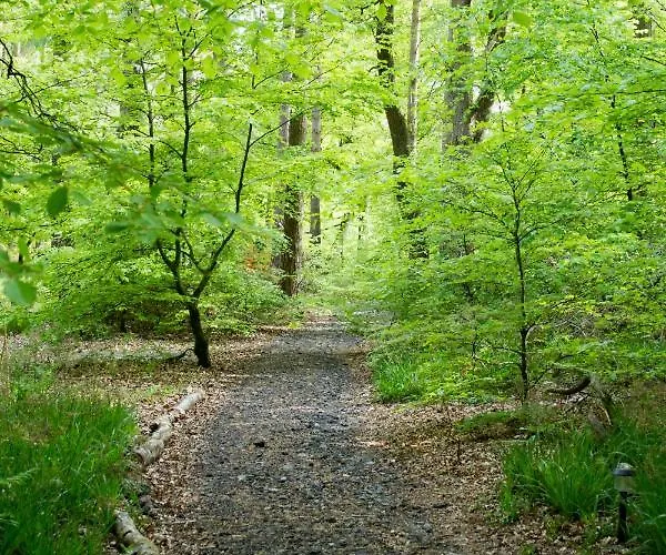 Broomhills Farm River Eco Pods * Carlisle (Cumbria)