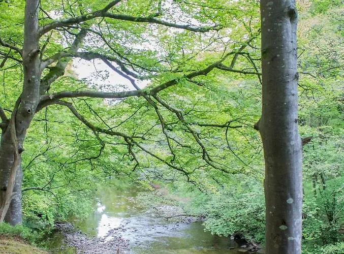 Broomhills Farm River Eco Pods Alojamento de Turismo Rural *