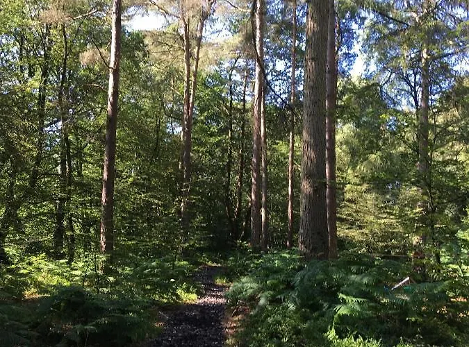 Broomhills Farm River Eco Pods Agroturismo