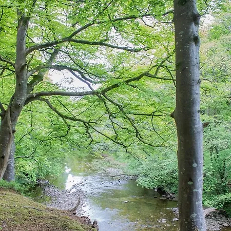 Broomhills Farm River Eco Pods Farm stay *